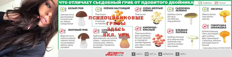 где купить наркотик  Нефтекамск  Галлюциногенные грибы Magic Shrooms 